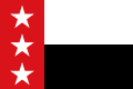 1840年 リオグランデ共和国の旗。ただし首都であったラレド以外ではテキサスの旗とはみなされていない。