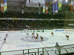 HC Bolzano - Sheffield Steelers