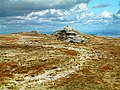 Dartmooris asuv High Willhaysi mägi (621 m)