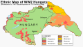 Hungary ethnic map (1941)