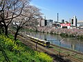 外濠公園より牛込濠と桜並木を望む