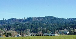 View from the west with Chehalem Mountain in the background