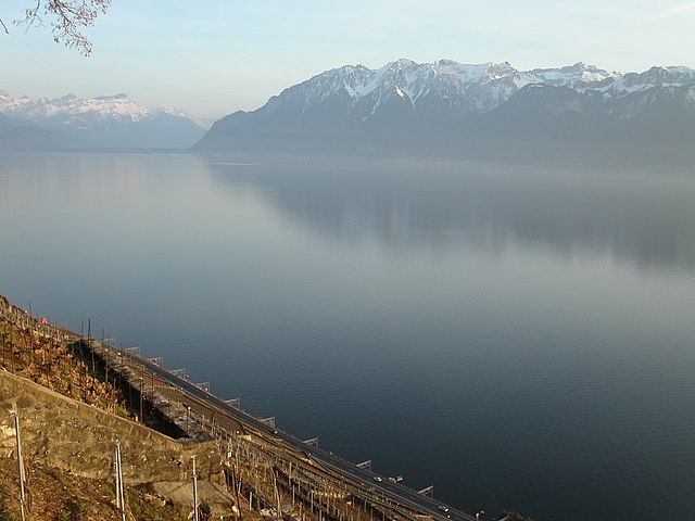 כרם בחבל הלאבו (Lavaux) שבקנטון ווֹ על רקע האגם והאלפים הצרפתיים