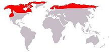 Carte du monde avec vastes taches rouges tout au nord