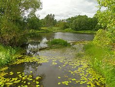 Leivajõgi Raasiku vallas