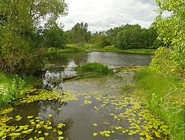 Raasiku – Veduta