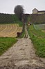 Wegtracé van de Dalingsweg tussen Hoeve Nekum (Cannerweg) en Apostelhoeve (Susserweg) bestaande uit een onverharde uitgeholde veldweg