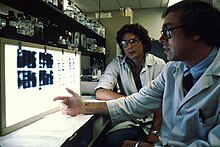 Researchers looking at slides of cultures of cells that make monoclonal antibodies. These are grown in a lab and the researchers are analyzing the products to select the most promising. Monoclonal antibodies3.jpg