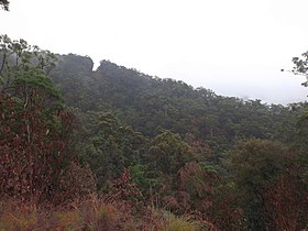 Mount Nimmel, Springbrook, Queensland.jpg