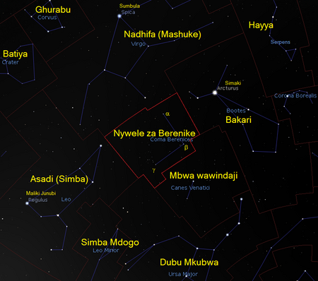 Nywele za Berenike (kundinyota) Kundinyota Nywele za Berenike (Coma Berenices) (CC BY-SA 4.0 © 2004-2016 Fabien Chereau et al. )Stellarium, CC BY-SA 4.0)