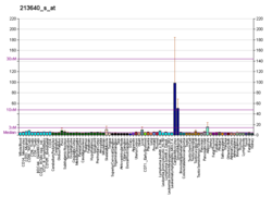 PBB GE LOX 213640 s at fs.png