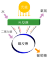 2008年11月9日 (日) 01:36版本的缩略图