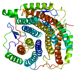 Белок MMAB PDB 2idx.png