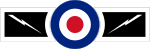 RAF 60 Sqn.svg