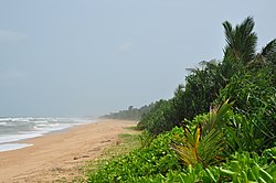 Bentota beach