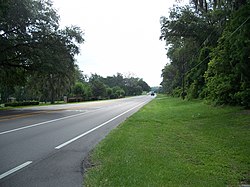 Skyline of St. Leo