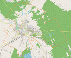 Mapa konturowa Staszowa, blisko centrum na lewo znajduje się punkt z opisem „Parafia św. Bartłomieja”