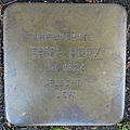 Stolperstein für Erich Herz