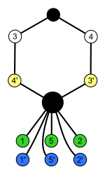 Подгруппа Oh; Dih6 03; цикл graph.svg
