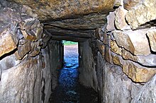 vue de face du couloir. Le premier plan est en hauteur, permettant de bien voir les murets.