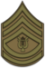 US Army OD Chevron Sergeant of the Band and Assistant Leader 1909-1918.png