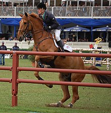 William Whitaker mit Glenavadra Brilliant beim Deutschen Spring-Derby 2013