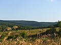 Alrededores de la localidad.