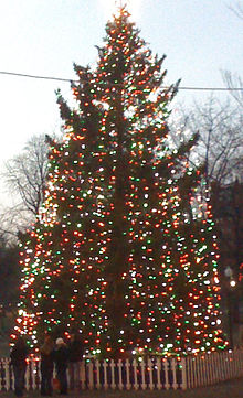 Рождественская елка 2010 г. в Бостоне Галифакс на Бостон-Коммон, США 5273771973.jpg
