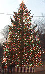 Official Christmas Tree of Boston Massachusetts, US.