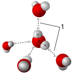 Water is a good solvent because the molecules are polar and capable of forming hydrogen bonds (1). 3D model hydrogen bonds in water.svg