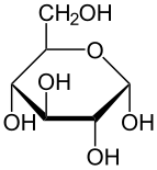 From left to right: Haworth projections and ball-and-stick structures of the α- and β- anomers of D-glucopyranose (top row) and D-glucofuranose (bottom row)