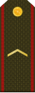 Armenia-Army-OR-2.svg