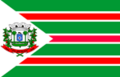 Bandeira de Palmeirina