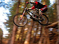 Vignette pour Freeride (VTT)