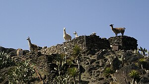 ラマの岩山