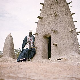 Fotografija marabuta iz Burkine Faso