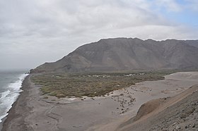 Camarones (Arica)