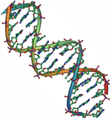 Ein stilisierter DNA-Strang