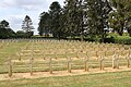 Le cimetière militaire français.