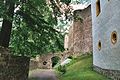 Burgruine mit Nordturm, Südturm, Ringmauer, Palas und Innerer Mauer (Einzeldenkmale der Sachgesamtheit 09300469)