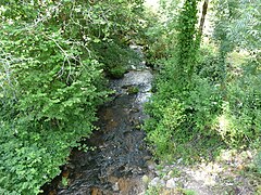 La Glane à Glény, une centaine de mètres avant sa confluence avec la Dordogne.