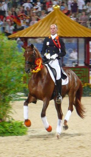 The silver medalists - Riders from the Netherl...