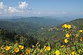 Panoramic view of the hills