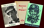 Vignette pour Accord du 28 novembre 1956 entre la Belgique et l'Espagne relatif à la main-d'œuvre espagnole en Belgique