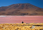 Miniatura per Laguna Colorada