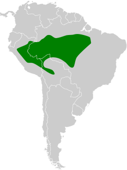 Distribución geográfica de la tangara aliblanca.