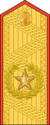 上将