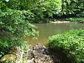 Latchley_Ford_on_the_River_Tamar_-_geograph.org.uk_-_2422888