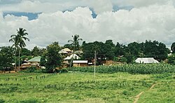 Makuyuni Ward, Korogwe District Landscape