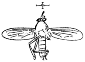 Microphor defunctus
(1910 illustration) Microphor defunctus Handlirsch 1910 Fig32 cropped.png